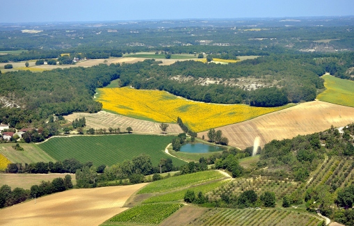 Montcuq
