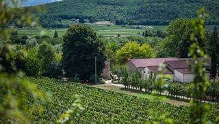Château Fantou - Prayssac