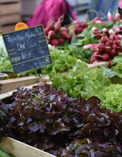 180601-Produits marché de Cahors16©V.SEGUIN-OT Cahors-St Cirq Lapopie