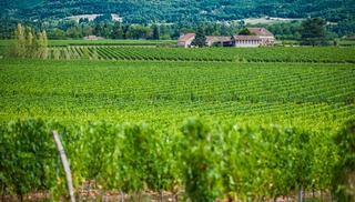 Château Famaey - Puy-l'Évêque