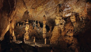 Grotte des Carbonnières - Lacave