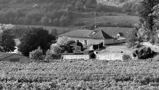 Domaine de Lacoste - Le Montat